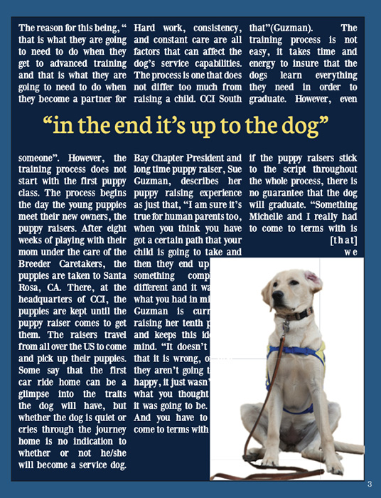 Article by Hannah Craford
